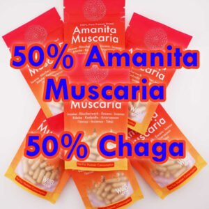 Big Packs 10-20 grams, Mixed Incense Powder or Mixed Incense Capsules - Amanita Muscaria 50% + Chaga 50%
