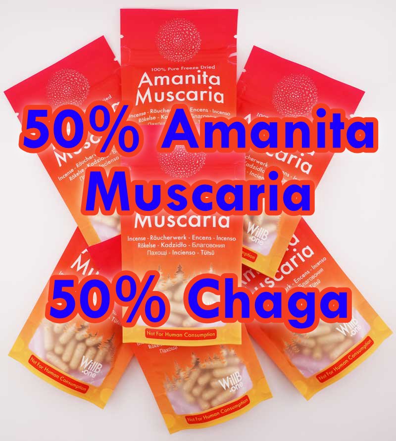 Big Packs 10-20 grams, Mixed Incense Powder or Mixed Incense Capsules - Amanita Muscaria 50% + Chaga 50%